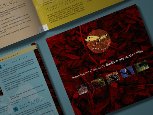Biodiversity brochure
